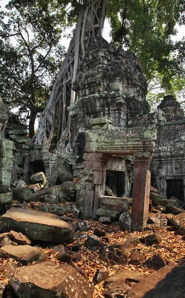 Templul Prohm Din Angkor Provincia Siem Reap Cambodgia — Fotografie, imagine de stoc