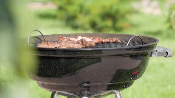Tiro de mão de uma grelha de churrasco e neblina de calor sobre a carne — Vídeo de Stock