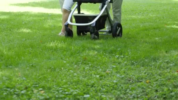 Menschen mit Kinderwagen gehen in einem grünen Park spazieren. Schwenkschuss — Stockvideo