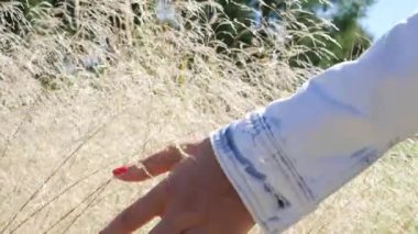 Yüksek yaz çimen dokunmadan bir el atış kadar kapatın. El atış