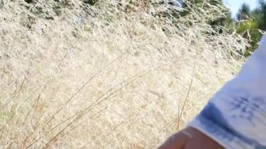 Bir kız ile nazik bitkiler el. Slowmotion