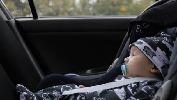 Bambino in un seggiolino auto guardando verso il finestrino — Video Stock