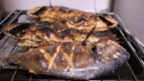 Tre stekte doradoer på et grillnett. Håndholdt fiskebilde – stockvideo