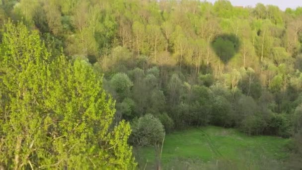 Hőlégballon repül át a zöld erdő árnyékában. Légi felvétel — Stock videók