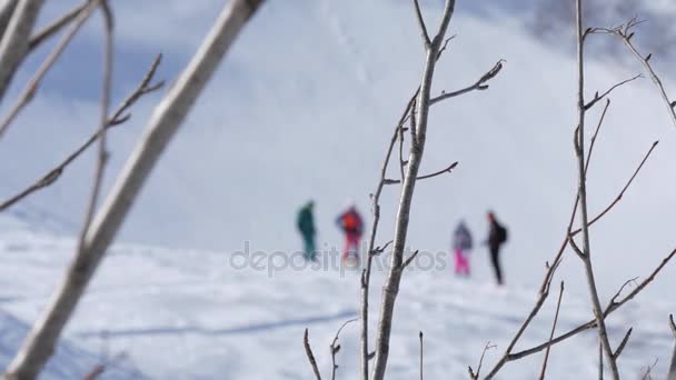 Verschwommene Menschen warten am schneebedeckten Hang auf ihren Freund. Freeride im Hochgebirge. Handschuss — Stockvideo