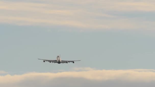 Reizigerskilometers vliegtuig wint hoogte na nemen af — Stockvideo