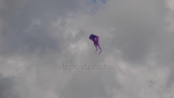 Blå och lila kite flyger i molnig himmel med fladdrande svansar — Stockvideo