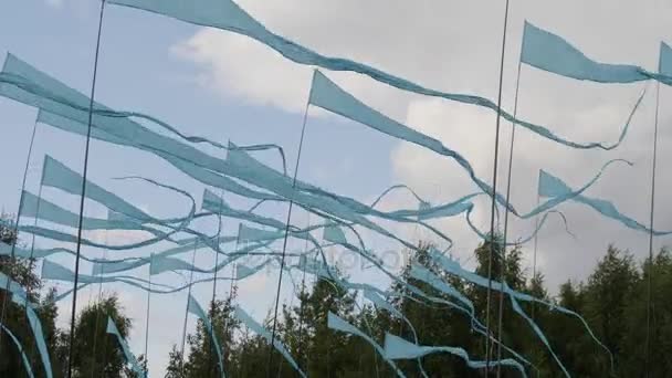 Beaucoup de longs drapeaux bleus flottent dans le vent — Video