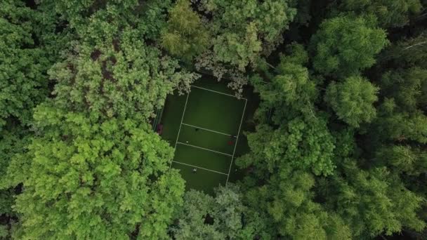 選手は、緑豊かな公園の真ん中に裁判所でフリスビーを再生します。空中のトップ ビュー — ストック動画