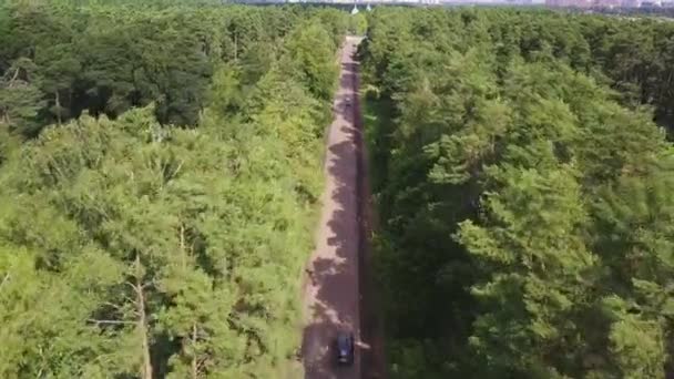 아스팔트도로 녹색 공원 통과의 공중 쐈 어. 나무 그림자에 이동 하는 자동차 — 비디오