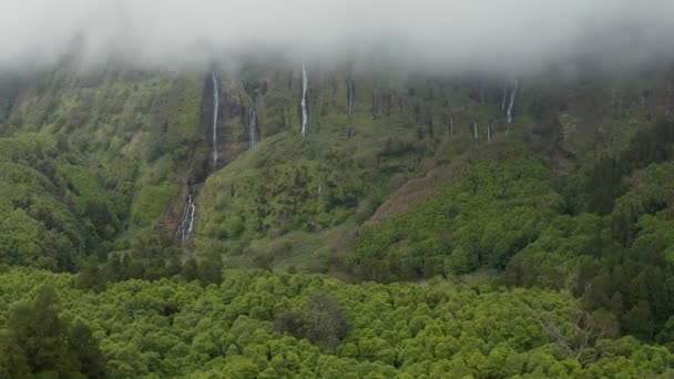 Flying above tree tops near high cliffy mountain. Streams of waterfall and cloud on the top. Aerial of Ferreiro, Flores, Azores — ストック動画