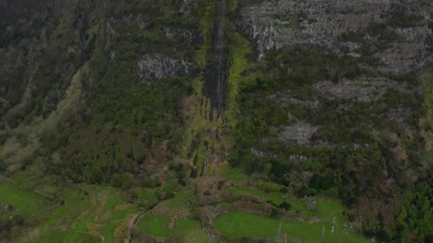 El agua cae de la alta montaña al bosque verde. Aérea de cascada en la isla de Flores, Azores — Vídeos de Stock