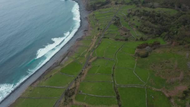 Aéreo da costa. Campos verdes, penhascos rochosos e ondas oceânicas da ilha das Flores, Açores — Vídeo de Stock