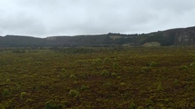 Yeşil ormanın üzerinde dağlar ve arka planda bulutlarla uçuyor. Terceira adası, Azores.