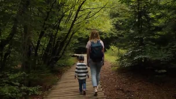 Mãe com filho pequeno caminha no caminho de madeira entre árvores na floresta sombria — Vídeo de Stock