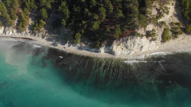 Bosque de coníferas sobre una roca blanca sobre aguas transparentes del Mar Negro — Vídeos de Stock