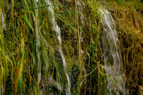 Nature Cascade Verte Été — Photo