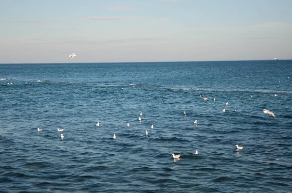 Natur Meer Schwarzes Meer Wellen Schaum Sand Strand Wasser — Stockfoto