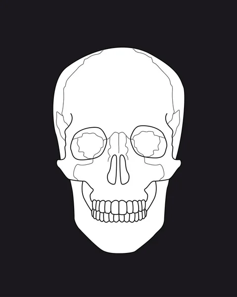 Ilustração de desenho crânio — Fotografia de Stock