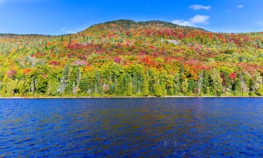 Kuzey Quebec, Kanada'da sonbahar yaprakları.