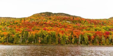 Yazlık ülkeye Kuzey Quebec'te almaya başlayan sonbahar etkiler. Kan kırmızı kış saldırı önce dönüm ağaçlar.