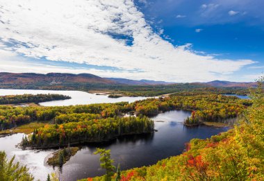 Kuzey Quebec, Kanada'da sonbahar yaprakları.