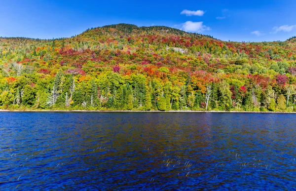 Herbstblätter in Nordquebec, Kanada. — Stockfoto