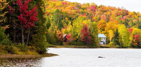 Jesienne liście, w północnej prowincji Quebec, w Kanadzie. — Zdjęcie stockowe