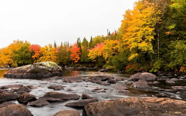 Folhas de outono em Quebec, Canadá . — Fotografia de Stock