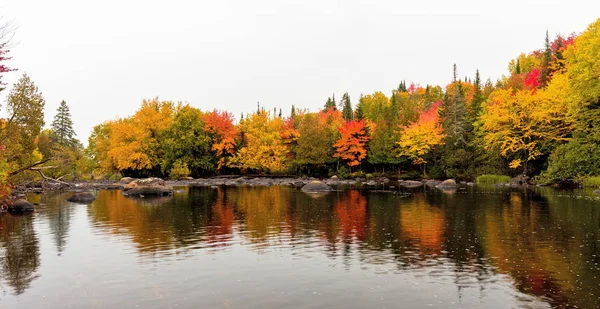 Folhas de outono em Quebec, Canadá . — Fotografia de Stock