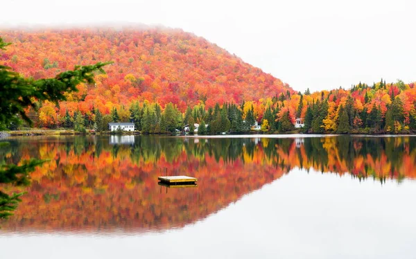 Autumnn színek északi Quebec, Kanada. — Stock Fotó