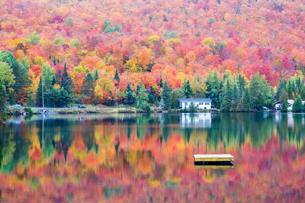 Autumnn színek északi Quebec, Kanada. — Stock Fotó