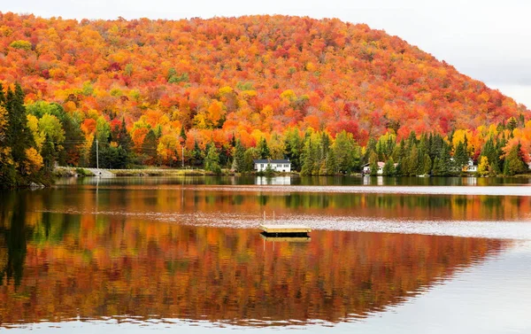 Autumnn renkler Kuzey Quebec, Kanada.
