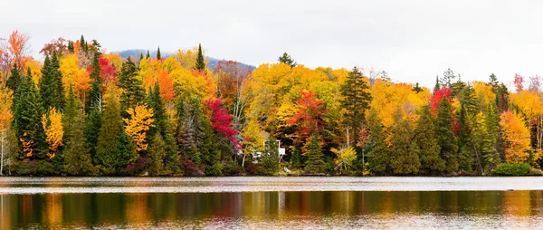 Cores do outono em Quebec, Canadá . — Fotografia de Stock