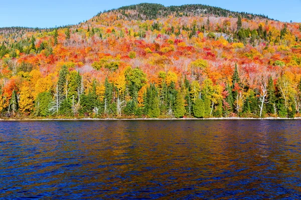 Syksyn värit Pohjois-Quebecissä, Kanadassa . — kuvapankkivalokuva