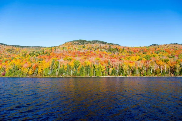 Cores do outono em Quebec, Canadá . — Fotografia de Stock