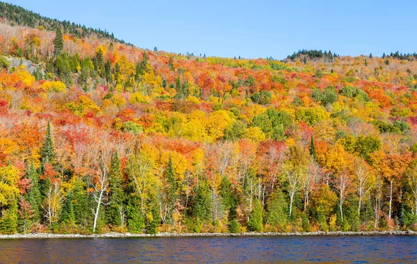 Autumnn színek északi Quebec, Kanada. — Stock Fotó