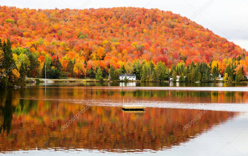 Autumnn colors in Northern Quebec, Canada.