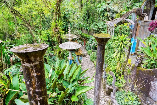 Sierra gorda Xilitla Mexico.