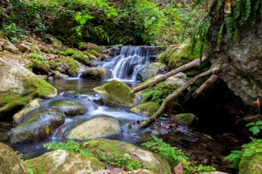 Şelale Sierra Gorda Meksika ve tropikal orman Xilitla bulut.