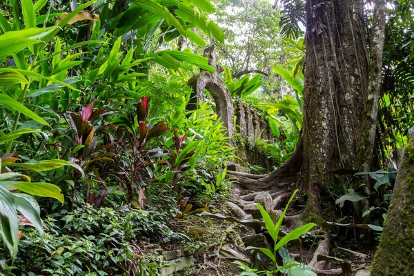 Şelale Sierra Gorda Meksika ve tropikal orman Xilitla bulut.