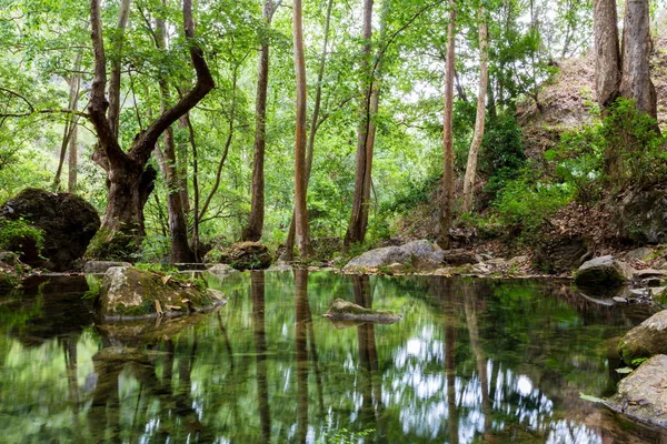 Şelale Sierra Gorda Meksika ve tropikal orman Xilitla bulut.