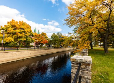 Ağaçlar ve yapraklarla dolu sonbahar manzarası