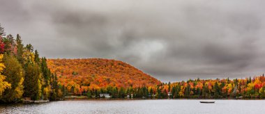 Yazlık ülkeye Kuzey Quebec'te almaya başlayan sonbahar etkiler. Kan kırmızı kış saldırı önce dönüm ağaçlar.