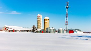 Güneşli bir günde karla kaplı binaların manzarası.