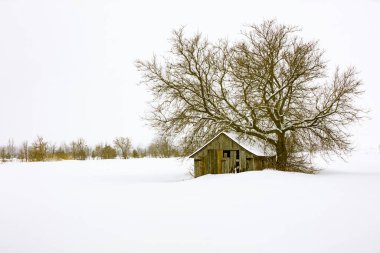Doğada karla kaplı evin manzaralı görüntüsü.
