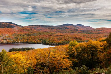 Yazlık ülkeye Kuzey Quebec'te almaya başlayan sonbahar etkiler. Kan kırmızı kış saldırı önce dönüm ağaçlar.