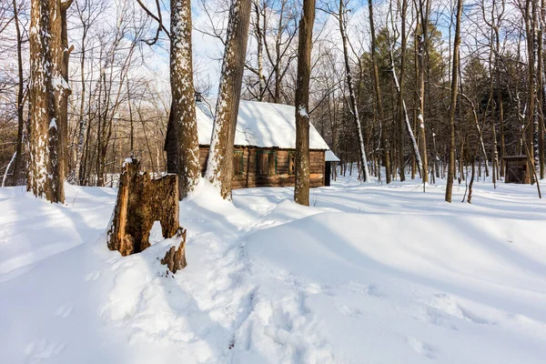 Vue Panoramique Maison Couverte Neige Sur Nature — Photo