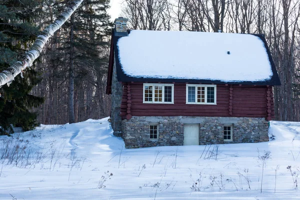 Szenische Aufnahme Des Schneebedeckten Hauses Auf Die Natur — Stockfoto