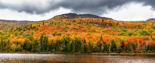 Scenic Autumnal Forest Landscape Background — Stock Photo, Image